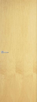 European Ash - DUK3003